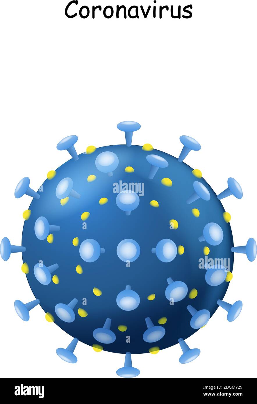 Corona Virus. Virione di Coronavirus su sfondo bianco. 2019-nCoV. Il virus che ha causato l'epidemia di polmonite in Cina. Illustrazione vettoriale Illustrazione Vettoriale