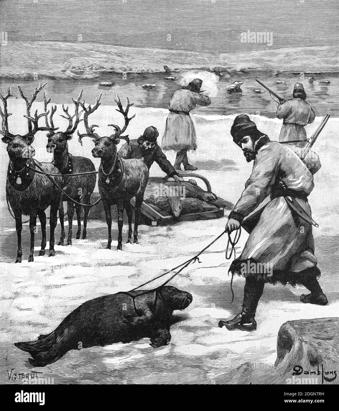 Caccia alle foche, caccia alle foche o suggellamento nell'Artico russo, nell'estremo nord o nell'estremo nord della Russia (englr 1895 Vintraut-Domblanc) incisione o illustrazione d'epoca Foto Stock