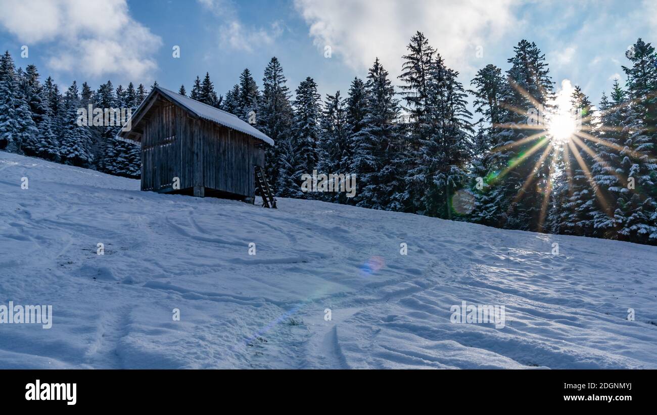 Eine alte Hütte steht am verschneiten Waldrand im Abendlicht. Die Sonne leuchtet durch die schneebedeckten Tannen. Vecchia capanna sul bordo nevoso della foresta Foto Stock