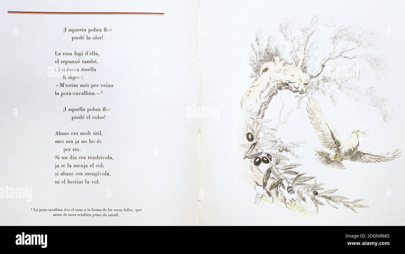 Jacint Verdaguer Santalo (1845-1902). Poeta in lingua catalana. Flors de Maria, 1902. Prima edizione del 1947. Editoriale Casiopea. Litografie di Alexandre Coll, colorate a mano. Spagna, Catalogna. Foto Stock