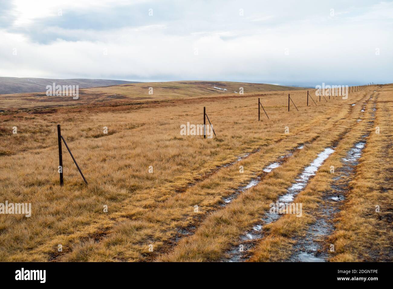 Linea di pali recintati che segnano il percorso fino alla montagna Munro di UN Bhuideanach Bheag nel Passo Drumochter vicino a Dalwhinnie, Scozia, Regno Unito Foto Stock