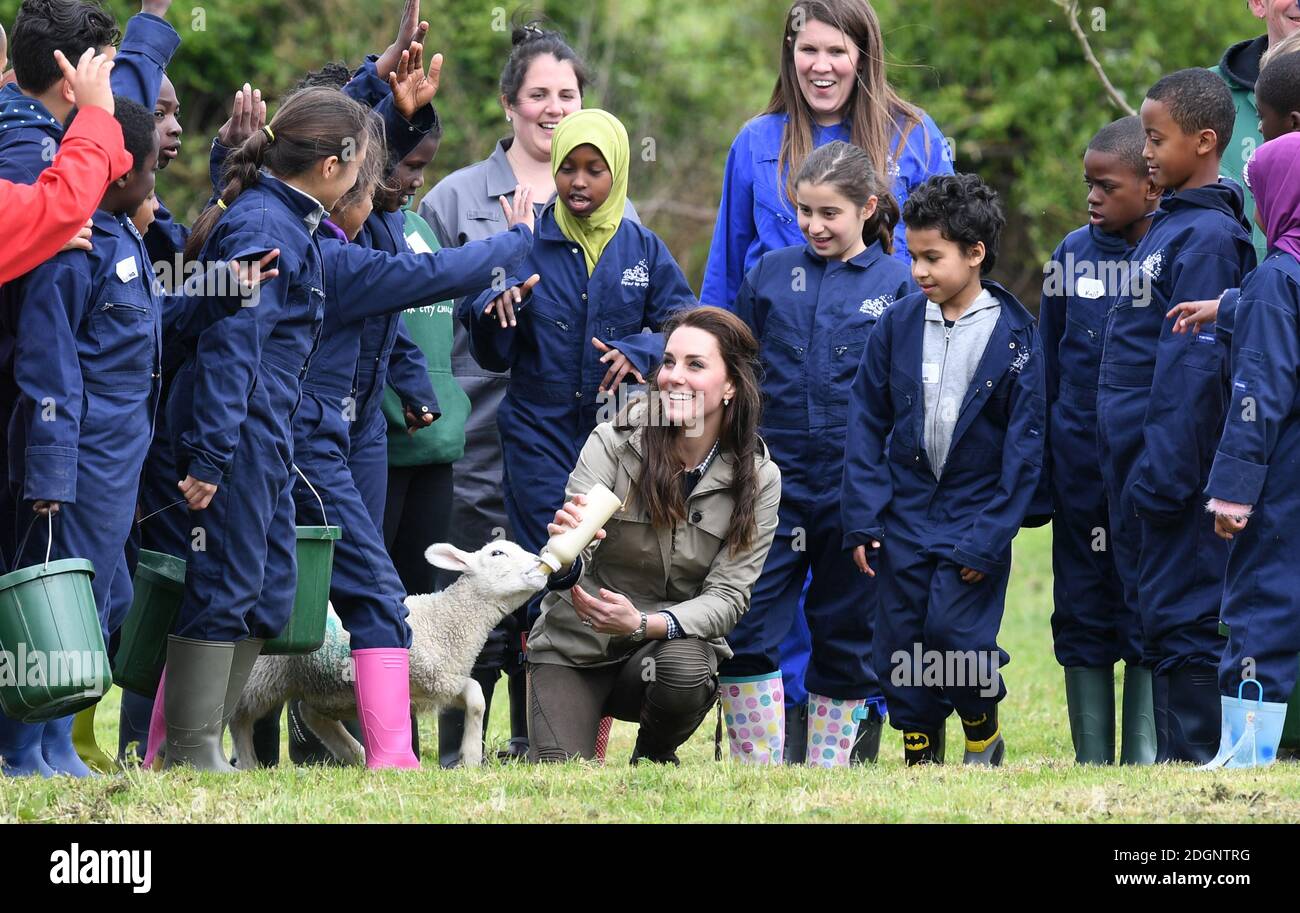 Catherine, la Duchessa di Cambridge durante un evento di Farms for City Children Charity ad Arlingham, Gloucester. Il credito fotografico dovrebbe essere: Doug Peters/EMPICS Entertainment Foto Stock