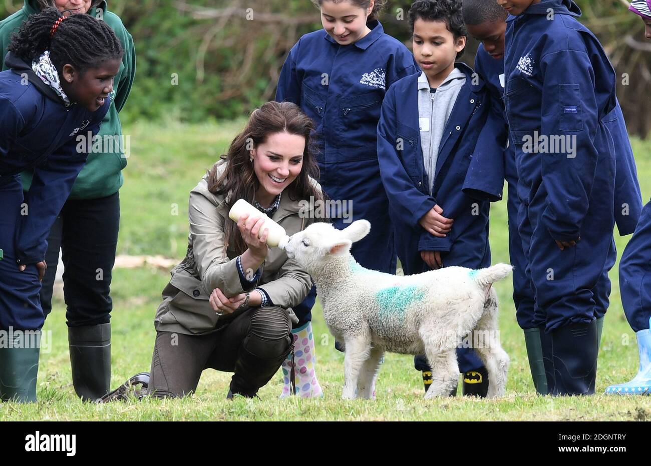 Catherine, la Duchessa di Cambridge durante un evento di Farms for City Children Charity ad Arlingham, Gloucester. Il credito fotografico dovrebbe essere: Doug Peters/EMPICS Entertainment Foto Stock