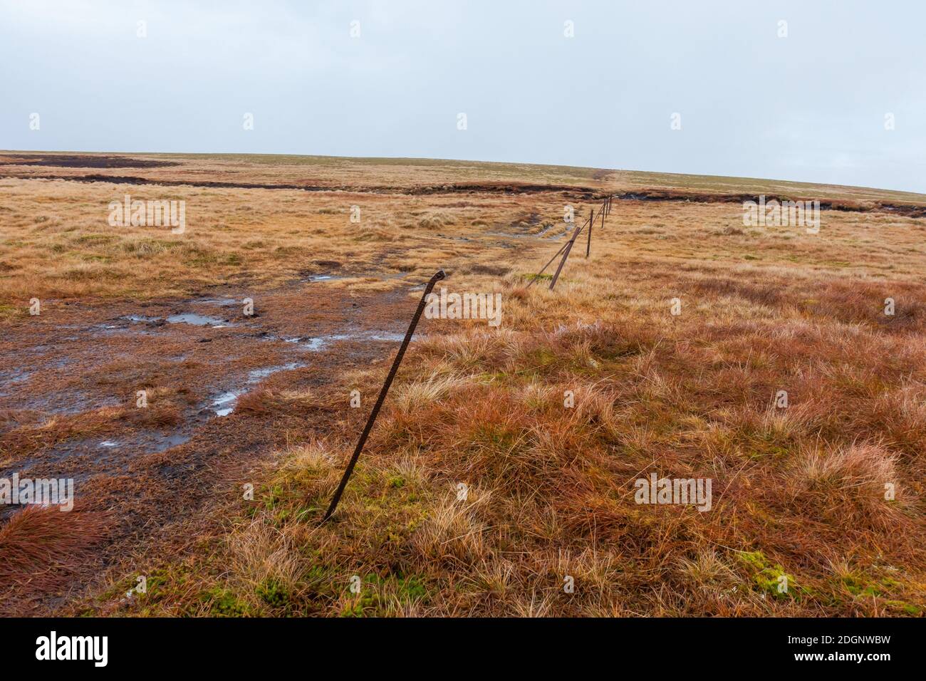 La linea di pali recintati sul sentiero fino alla montagna Munro di Carn Na Caim nel Passo di Drumochter vicino a Dalwhinnie, Scozia, Regno Unito Foto Stock