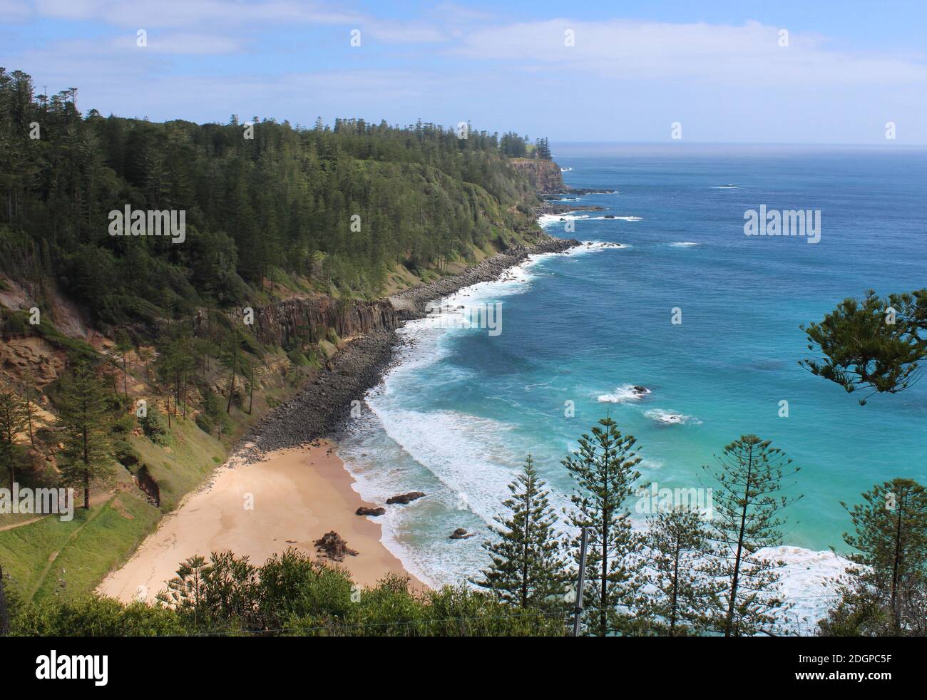 Norfolk Island, territorio esterno australiano, Anson Bay, con endemico Norfolk Island Pines (Araucaria eterophylla). Foto Stock