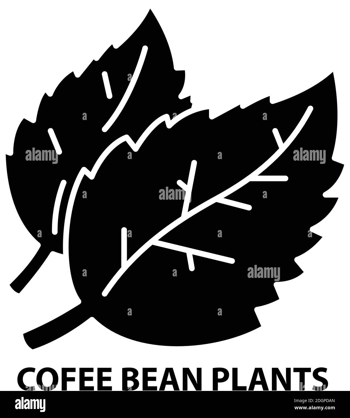 icona delle piante di fagioli di cofee, segno vettoriale nero con tratti modificabili, illustrazione concettuale Illustrazione Vettoriale