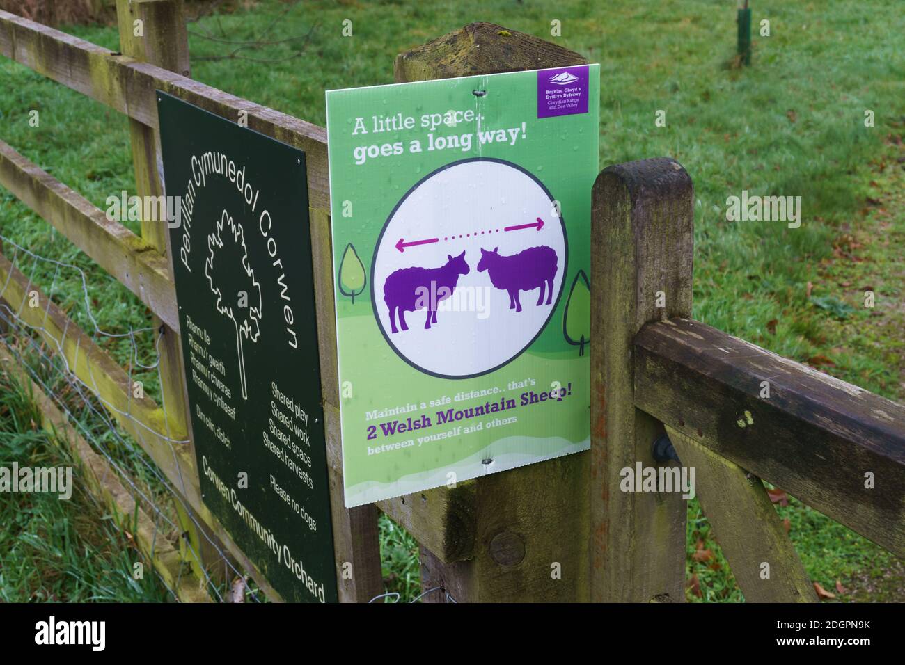 Divertente avviso di allontanamento sociale su un percorso a piedi sul La gamma Clywdian nel Galles del Nord che dice alle persone di mantenere un distanza di due pecore gallesi Foto Stock