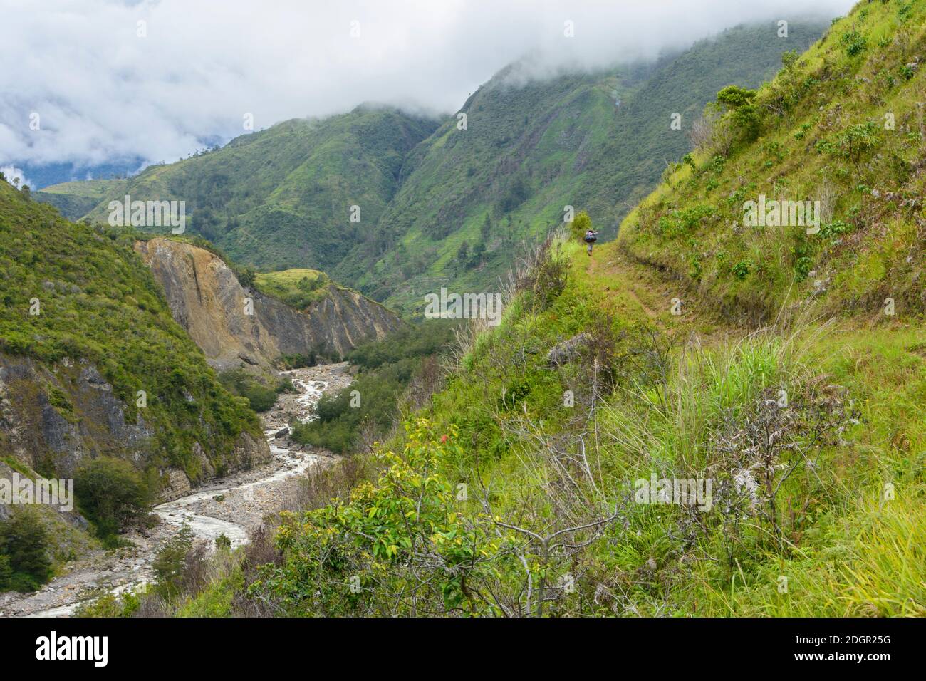 Un sentiero lungo un affluente del fiume Baliem nella Valle di Bamien. Papua Occidentale, Indonesia. Foto Stock