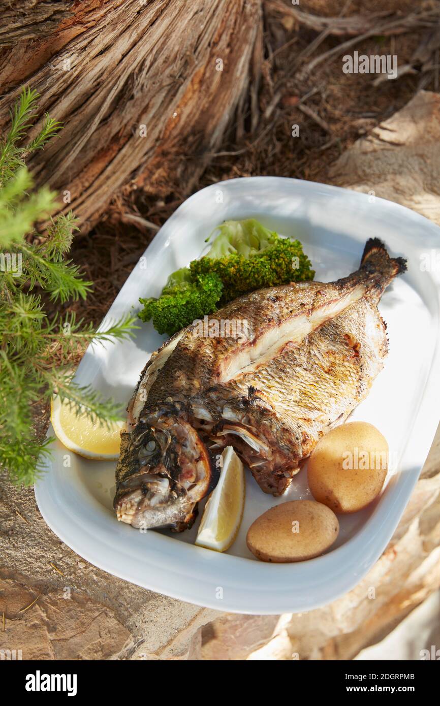 Un tradizionale piatto dell'Algarve occidentale di Sargo; orata di mare servita con patate bollite e broccoli, ristorante Mar A Vista, Sagres, Algarve, Portogallo Foto Stock