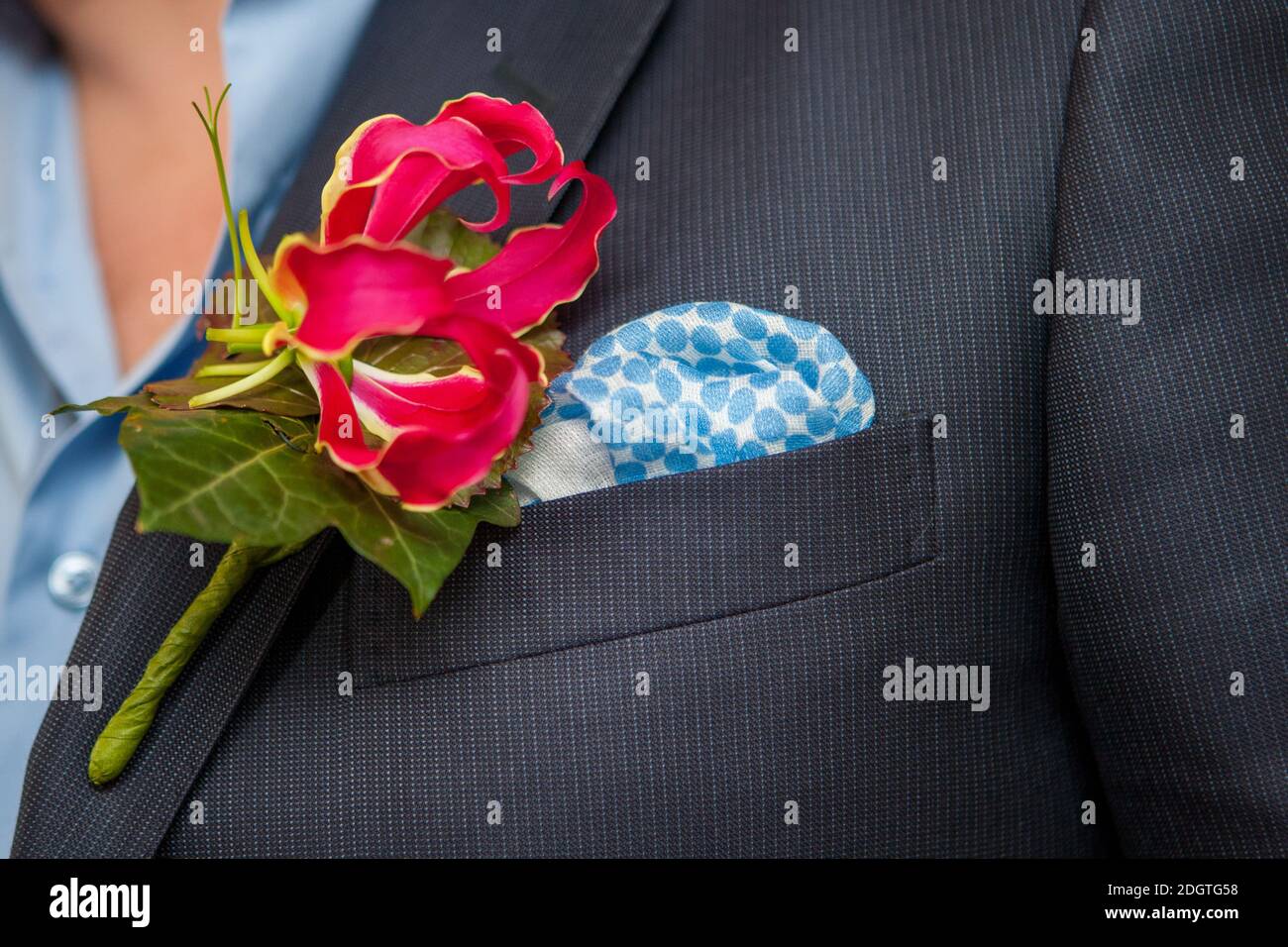 Orchidea rosa in un abito da scoma Foto Stock