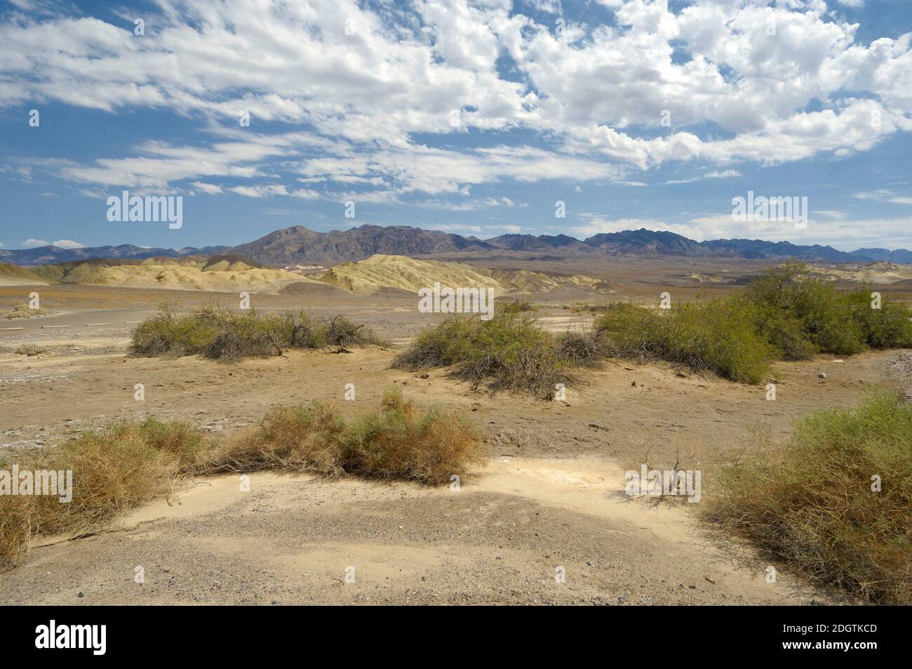 Death Valley, California, Stati Uniti d'America Foto Stock