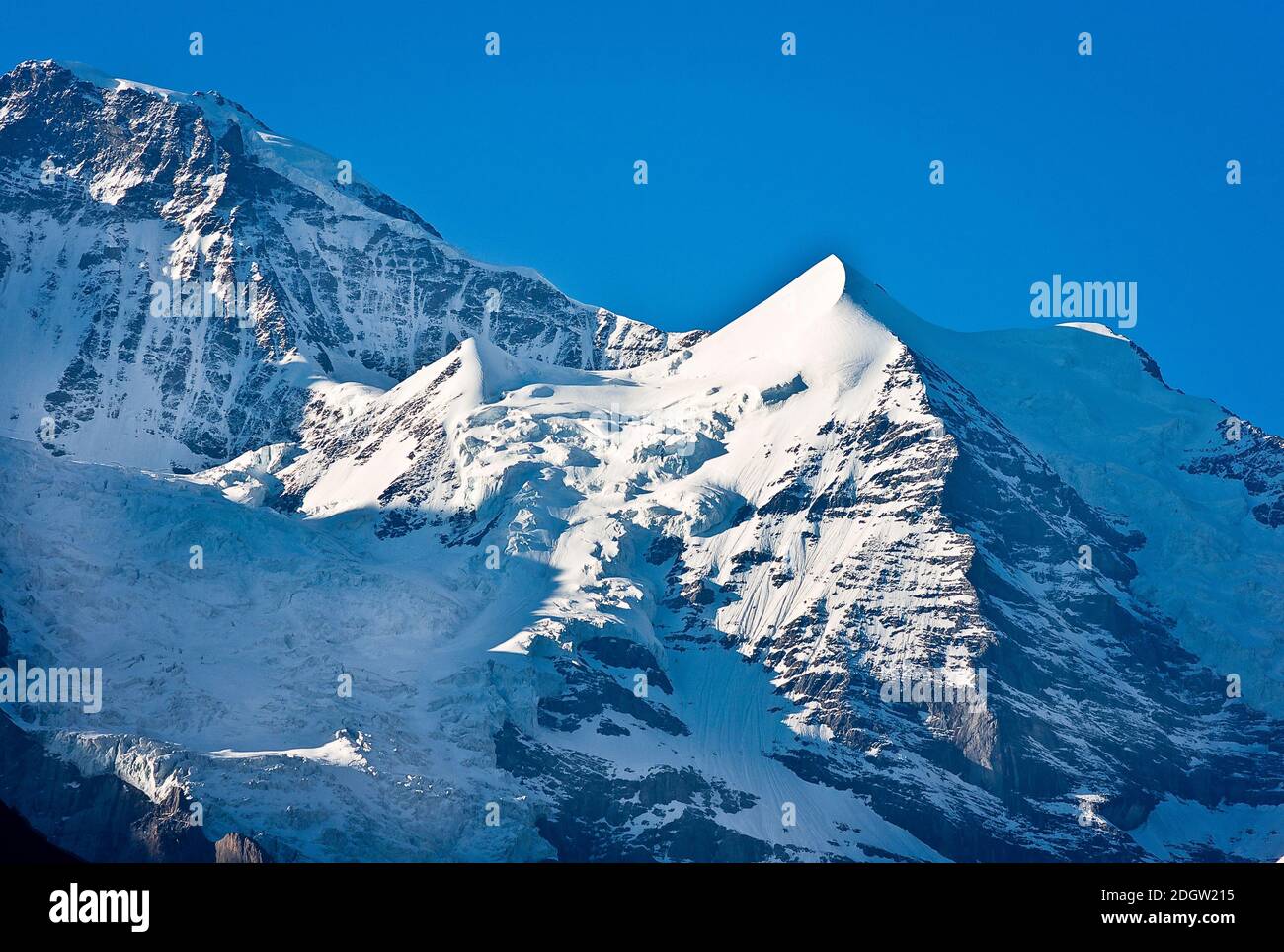 Montagna innevata del Silberhorn nelle Alpi svizzere vista da un Hotel a Wengen Svizzera Europa Foto Stock