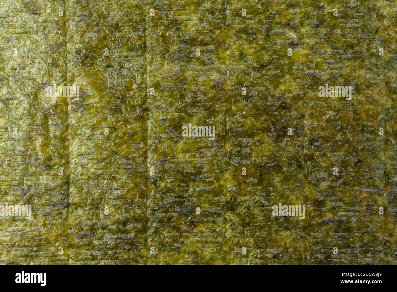 Trama di fondo della foglia di nori essiccata per la produzione di sushi. Foto Stock