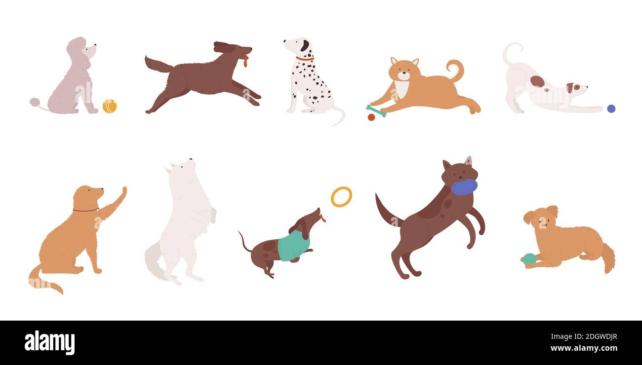 Cani animali domestici giocare insieme di illustrazioni vettoriali. Cartoon carino vari personaggi gattini raccolta di divertente cane animale che gioca con la palla, addestramento comandi umani, esecuzione di cuccioli e salto isolato su bianco Illustrazione Vettoriale
