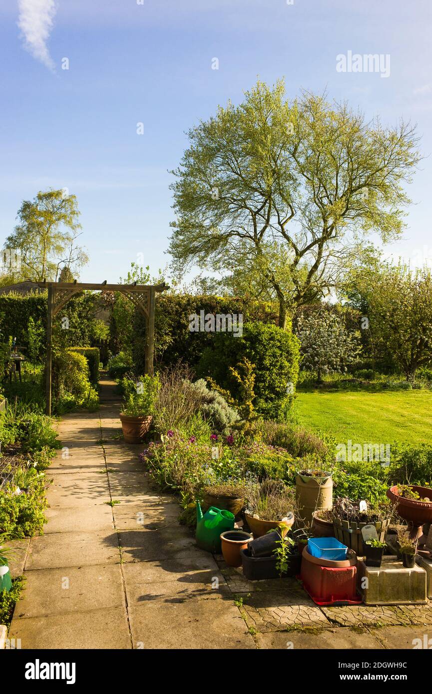 Un percorso giardino fiancheggiato da piante perenni miste e di piccole dimensioni Pentole in un giardino rurale inglese Foto Stock