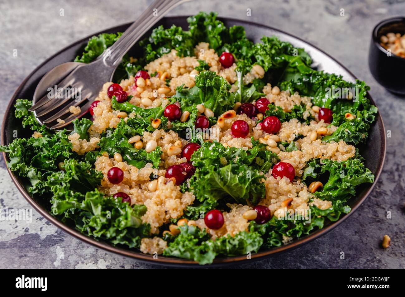Insalata sana di kale crudo e quinoa con mirtillo rosso e pinoli. Fuoco selettivo. Foto Stock