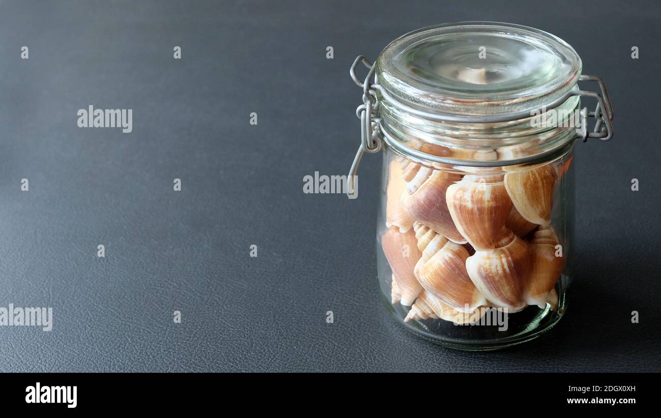 Un vaso di vetro pieno del guscio di cane conca, una specie di lumaca di mare commestibile, con il coperchio del vaso chiuso. Foto Stock