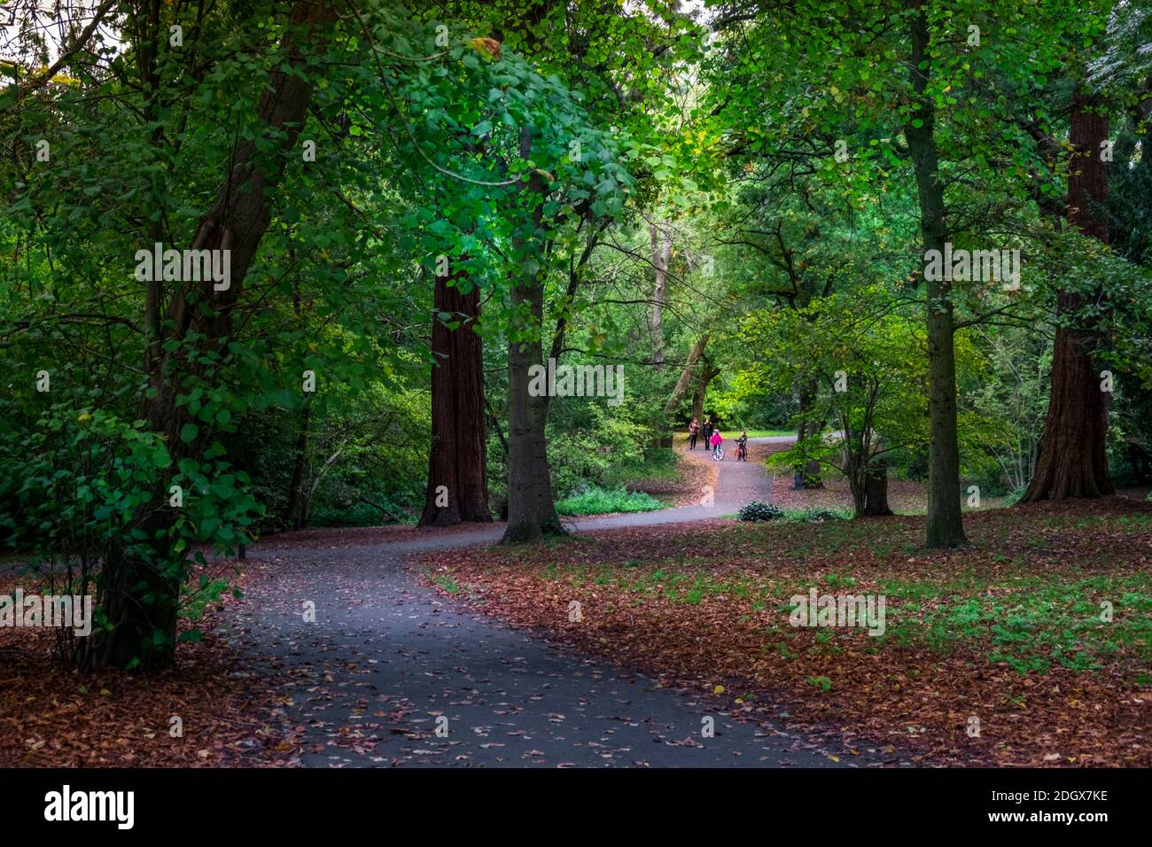 Londra, camminatori sulla Dollis Valley Greenwalk, che corre lungo la valle del fiume Dollis, da Moat Mount, Mill Hill attraverso Barnett a Hampstead Heath Foto Stock