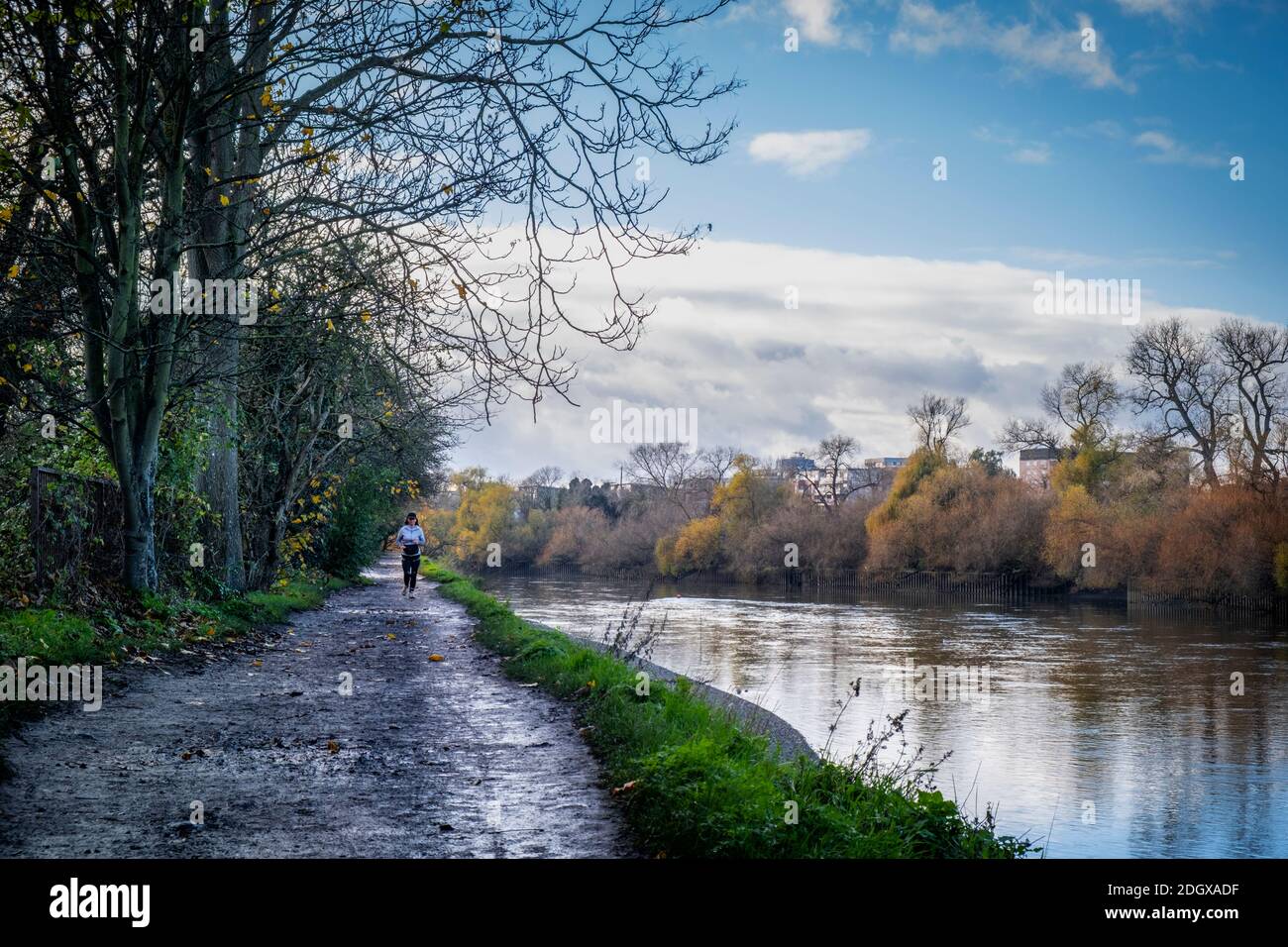 Regno Unito, Inghilterra, Londra, Richmond, UNO jogger che corre lungo il percorso del Tamigi in autunno Foto Stock