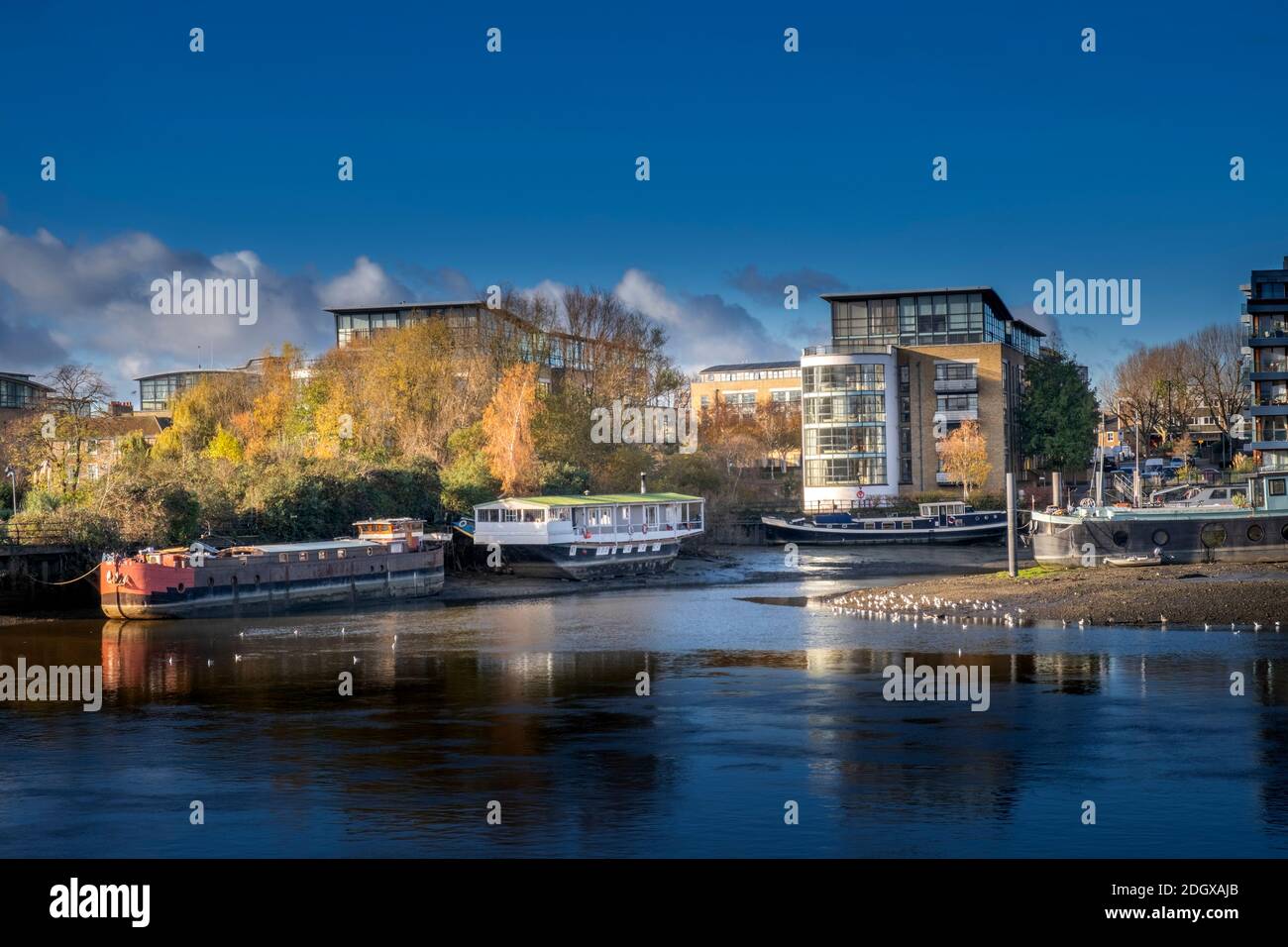 Londra, Hounslow, alloggio residenziale presso il molo di Brentford, la foce del fiume Brent presso il Grand Union Canal e il fiume Tamigi, autunno, cielo blu chiaro Foto Stock