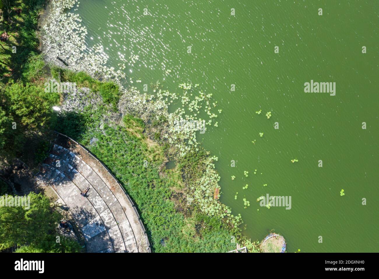 Vista aerea della donna asiatica siede a terra Foto Stock