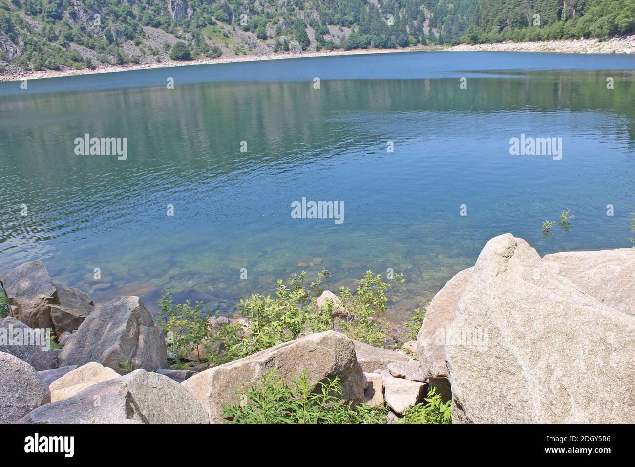 Alsazia, le Lac Blanc massiccio dei Vosgi Foto Stock