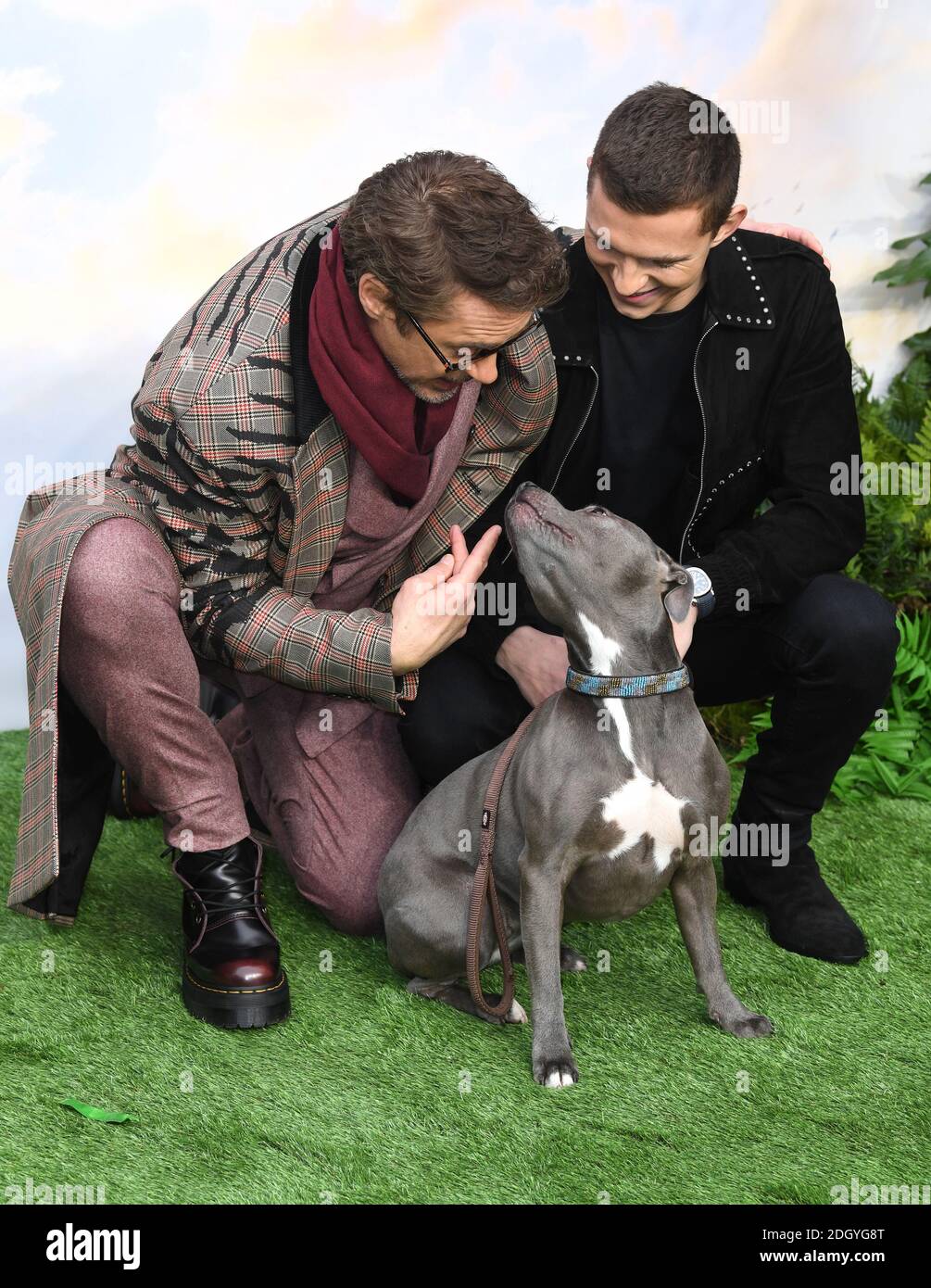 Robert Downey Jr, Tom Holland e il suo cane Tessa frequentano la prima Dolittle, Leicester Square, Londra. Il credito fotografico dovrebbe essere: Doug Peters/EMPICS Foto Stock