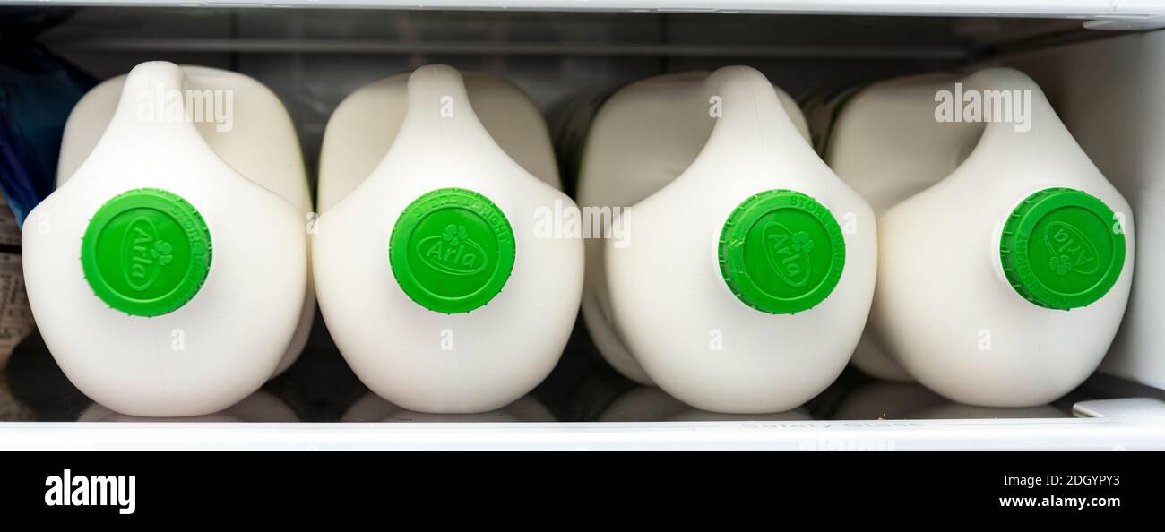 Quattro bottiglie di plastica da 2 litri di latte ARLA su un ripiano frigorifero domestico Foto Stock