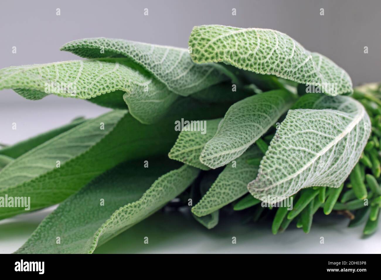 Un mazzo di erbe arrostire - salvia e rosmarino - primo piano Foto Stock