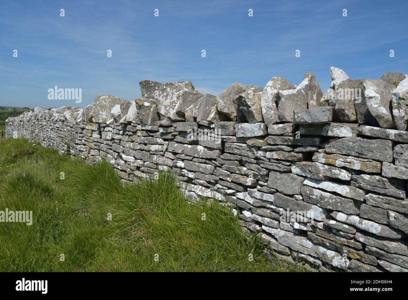 Muro di pietra a secco sormontato con pietre verticali tappanti sull'isola di Purbeck, Dorset. Pareti calcaree ruvide divide fields.Old pietre indicate Foto Stock