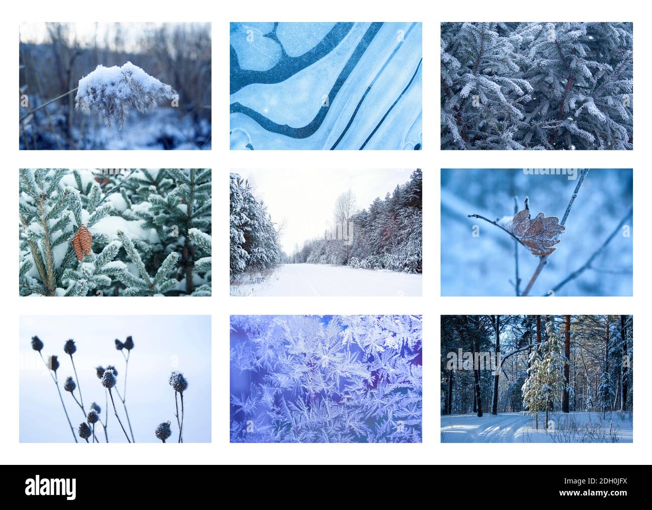 Collage di 9 foto di natura invernale. Natale Foto Stock
