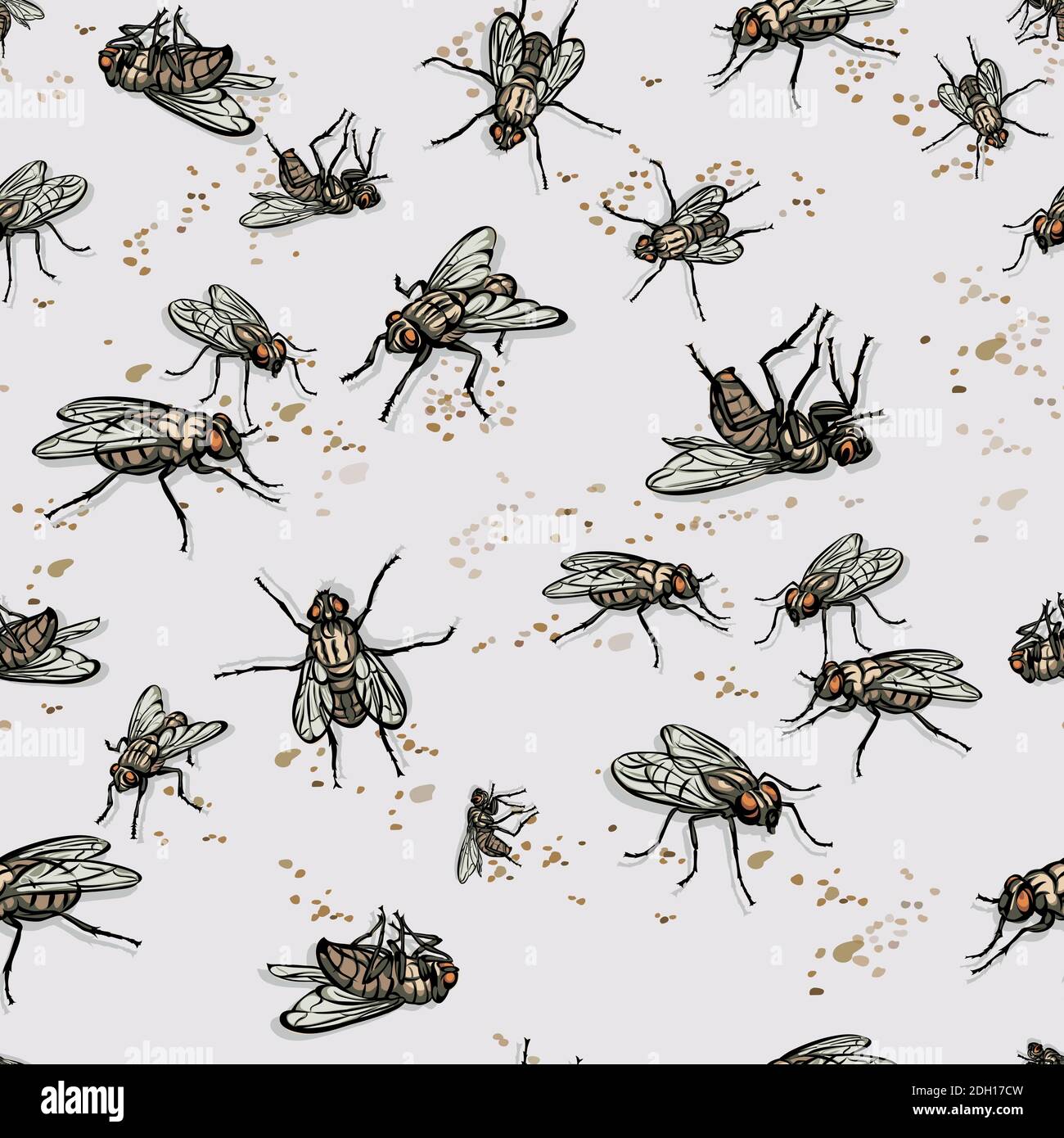 mosca, insetto, pose varie, movimenti e scorci di figure, nero, colore, modello Illustrazione Vettoriale