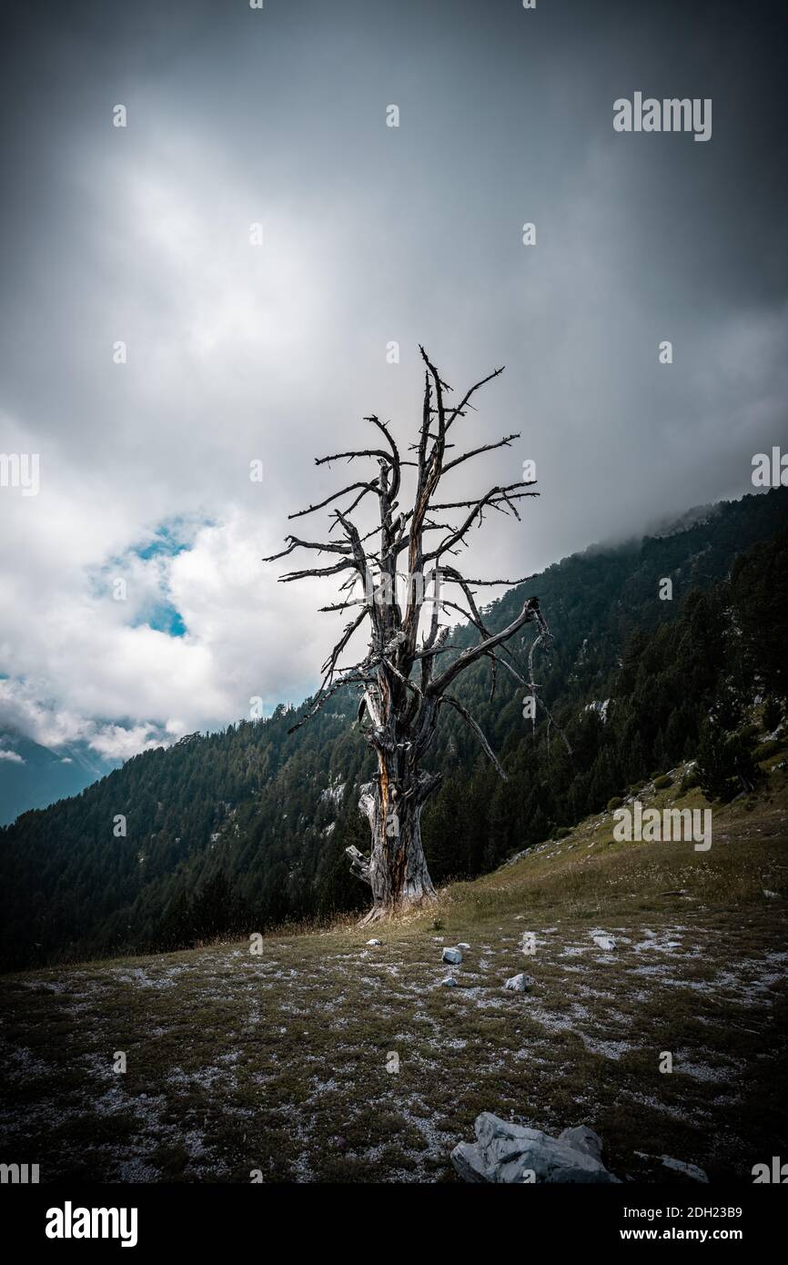 Olimpo di montagna in grecia. Paesaggio alpico in alta quota. Foto Stock