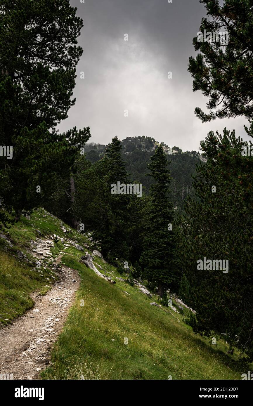 Olimpo di montagna in grecia. Paesaggio alpico in alta quota. Foto Stock