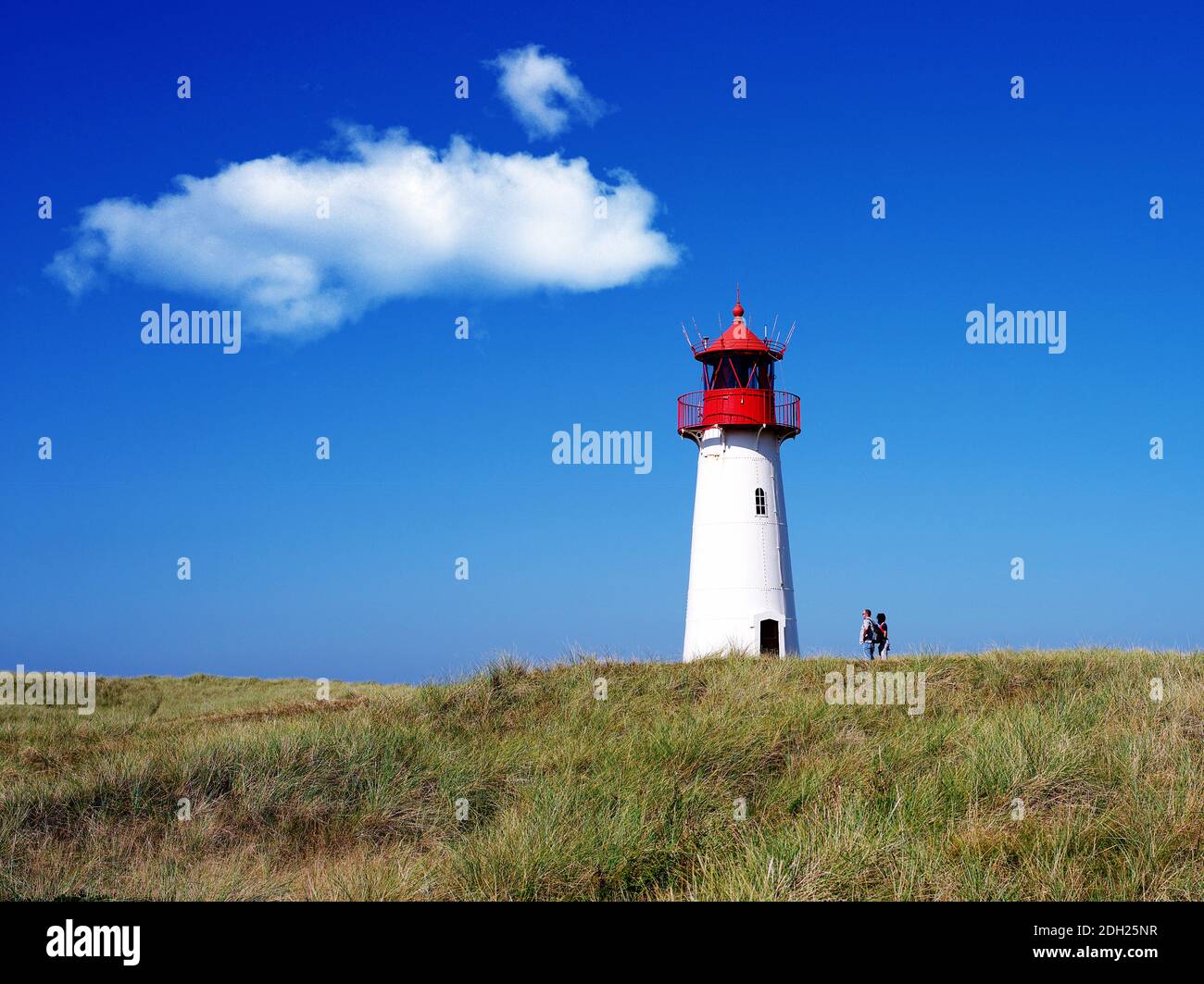 Leuchtturm von List, Westellenbogen, Insel Sylt, Schleswig-Holstein Foto Stock