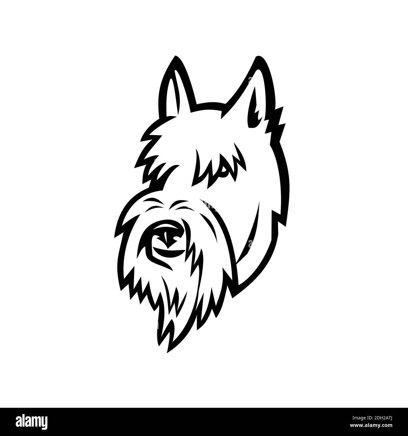 Scottish Terrier Head Mascot bianco e nero Foto Stock