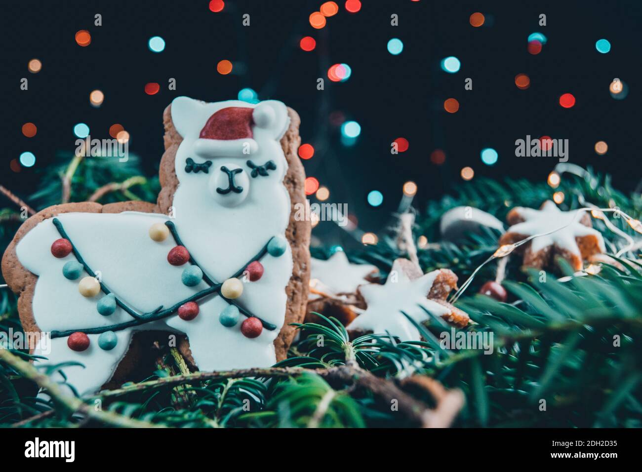 Biscotto di lama di pan di zenzero in piedi su abete verde con stelle di pane di zenzero, cuori grigi wodden e luci LED di fata o rami di tasso, composizione sopra Foto Stock