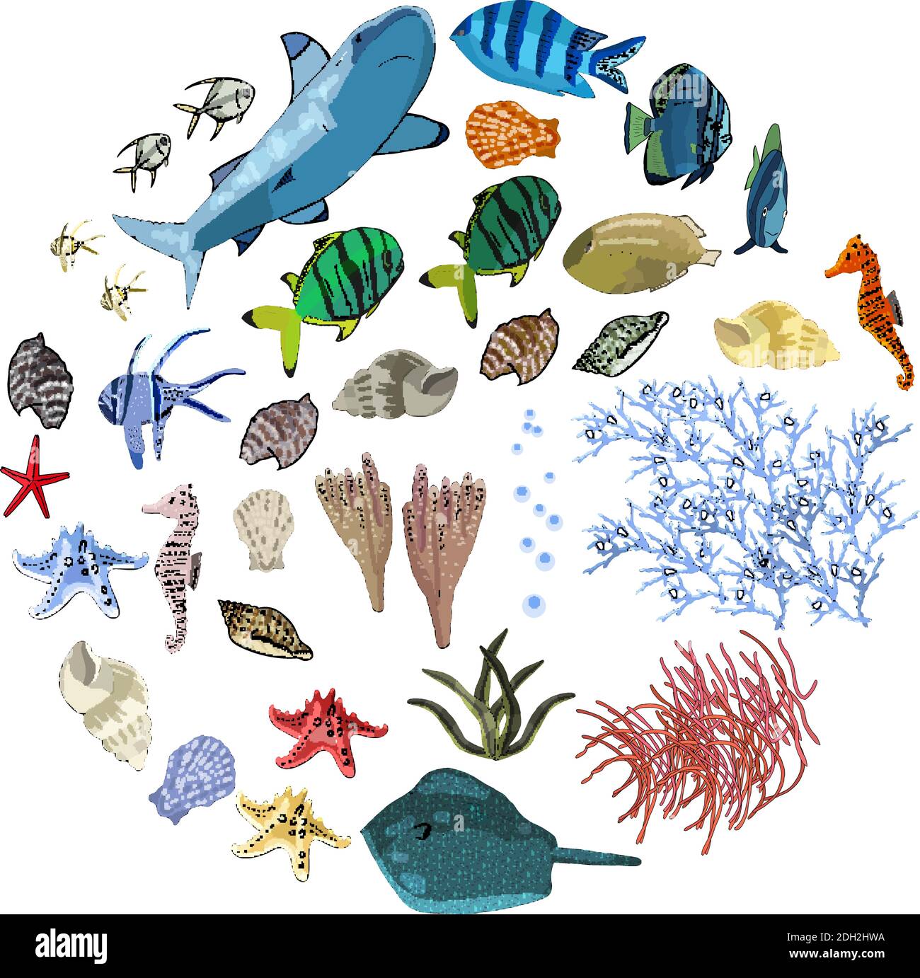 Insieme vettoriale di animali marini - squali, pesci tropicali, coralli, cavallucci marini, conchiglie, stelle marine, razze, alghe. Creature oceaniche sottomarine isolano su un Whi Illustrazione Vettoriale