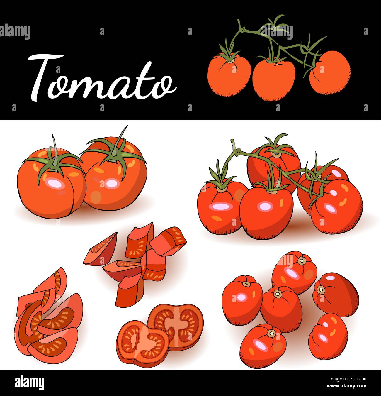 Fette di pomodoro, ciliegia di pomodoro isolato su sfondo bianco illustrazione vettoriale. Illustrazione del cibo per caffè, mercato, design del menu. Illustrazione Vettoriale