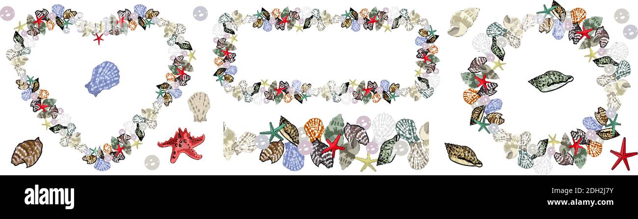 Una serie di elementi di conchiglia. Diversi tipi di cornici e bordi senza cuciture isolati su sfondo bianco per il tuo progetto. Illustrazione Vettoriale