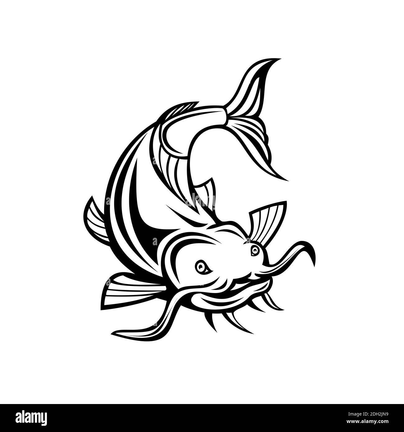 Catfish o Wels Catfish che attacca il cartone anteriore bianco e nero Foto Stock