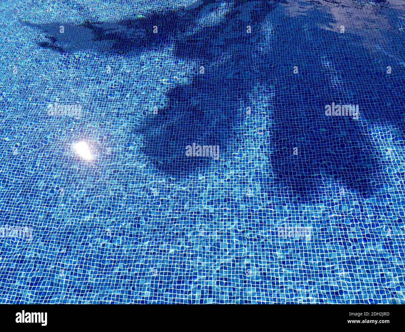 Piscina d'acqua con increspature, rifrazioni su piastrelle blu e ombre di palme Foto Stock