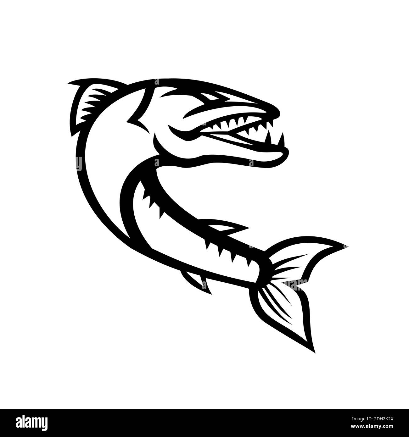 Grande Barracuda Jumping retro Mascot Bianco e nero Foto Stock