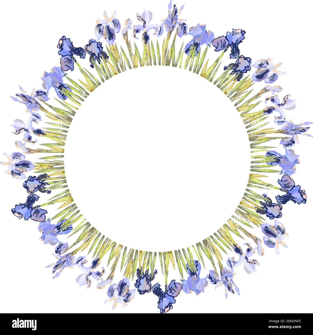 Modello floreale con iris isolato su bianco. Per confezioni regalo di design, annunci, cartoline, poster, inviti Illustrazione Vettoriale