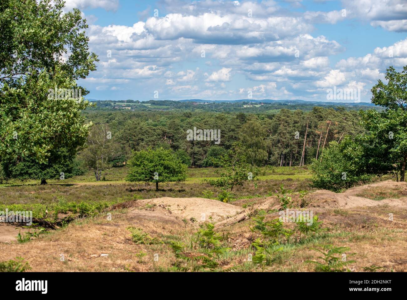 Wahner Heath Foto Stock