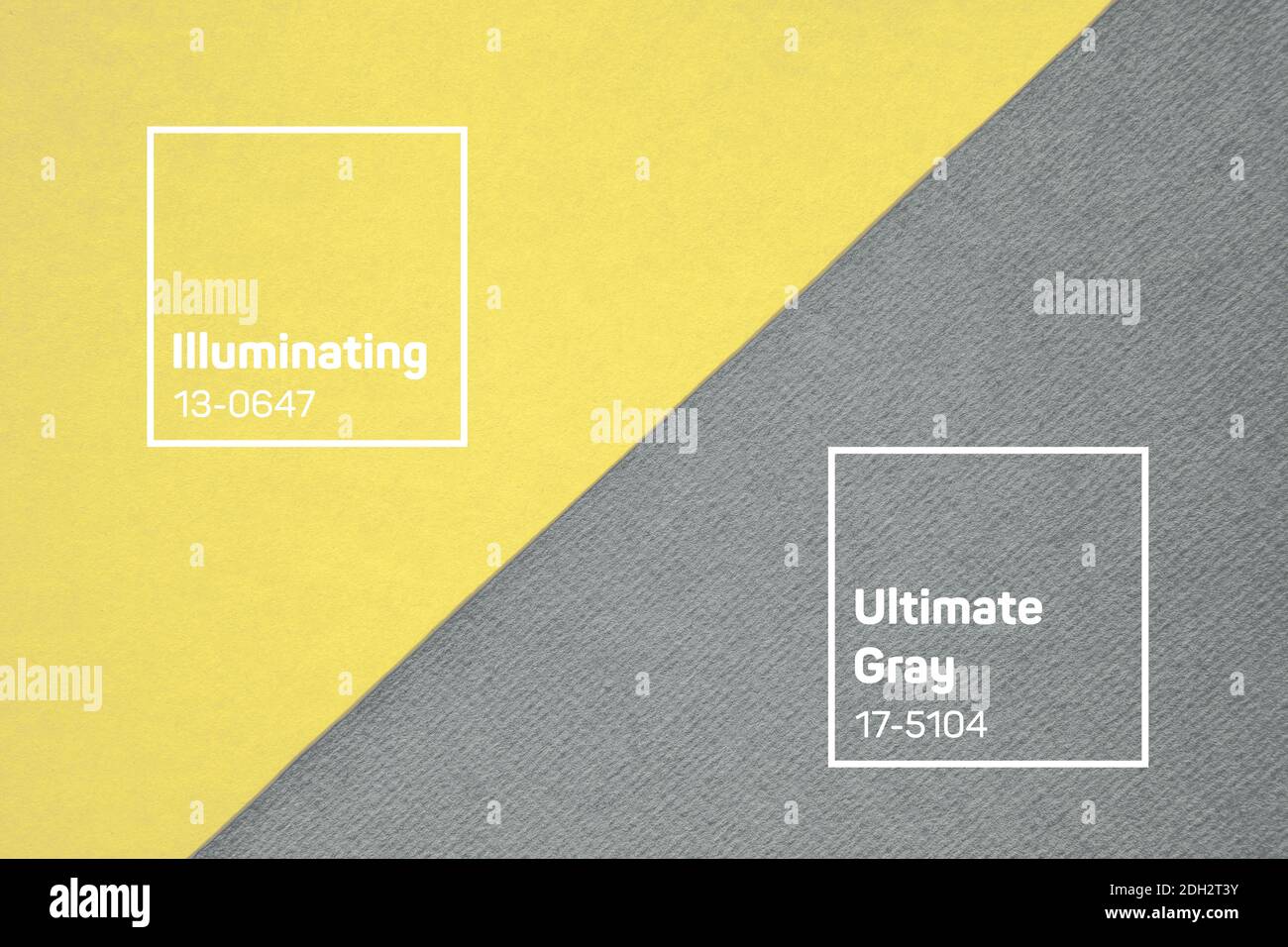 colore pastello giallo e grigio neutro sfondo astratto a due tonalità design Foto Stock