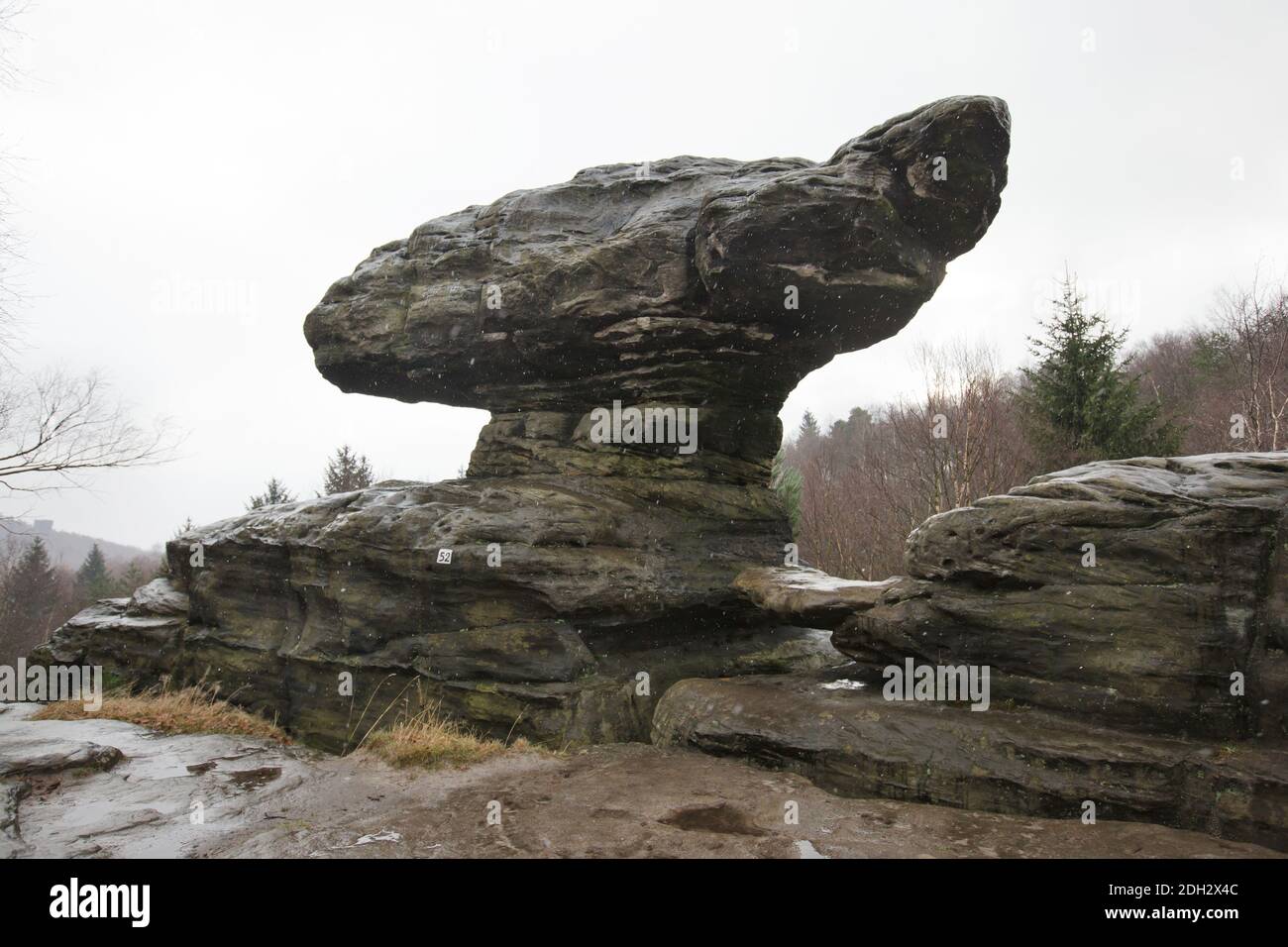 Formazione rocciosa di Toadstool nelle grandi rocce di Tisa (Velké Tiské stěny) nella Svizzera boema (České Švýcarsko) nella Boemia del Nord, Repubblica Ceca. Foto Stock