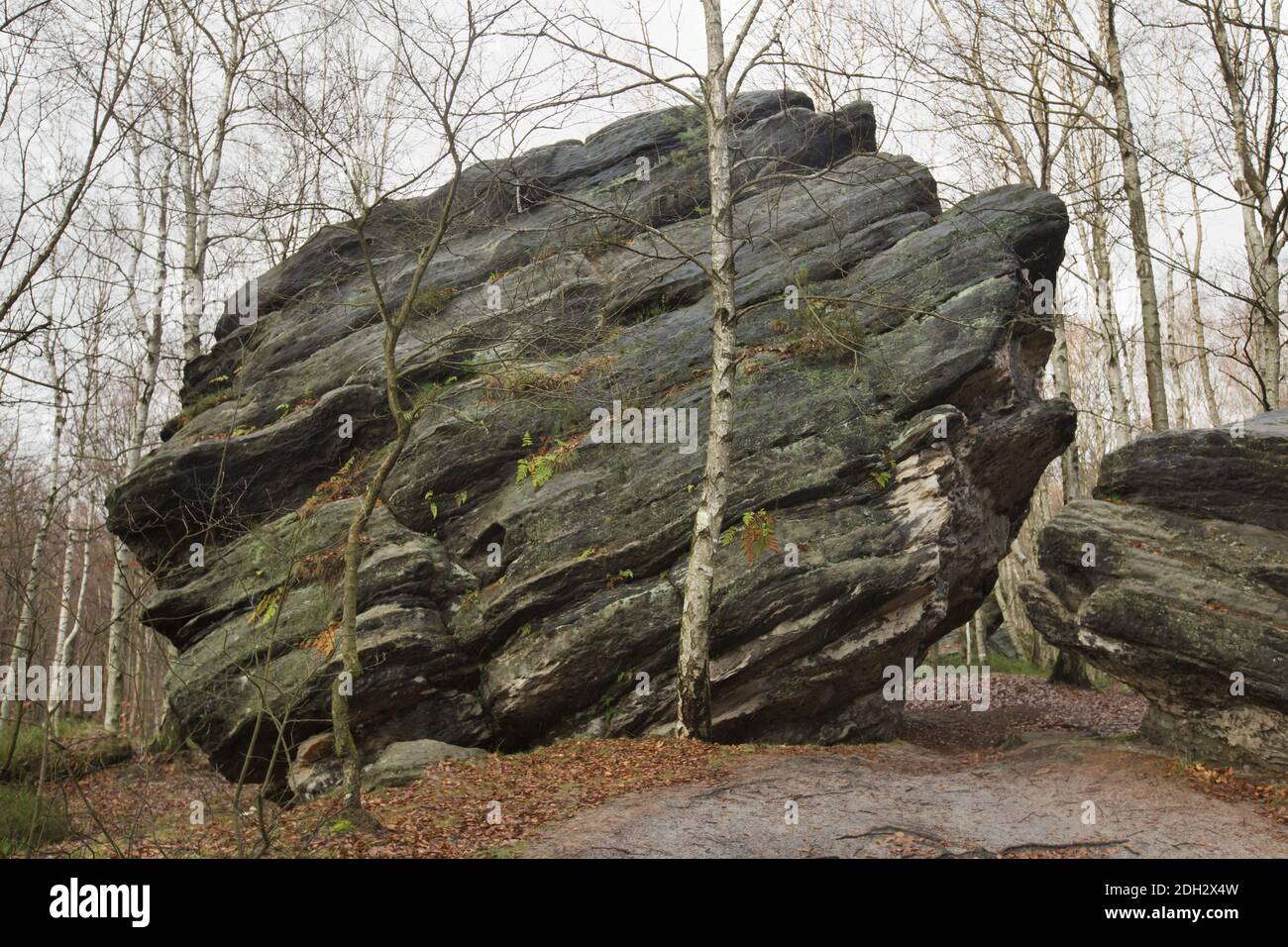 Grandi rocce di Tisa (Velké Tiské stěny) nella Svizzera boema (České Švýcarsko) nella Boemia settentrionale, Repubblica Ceca. Foto Stock