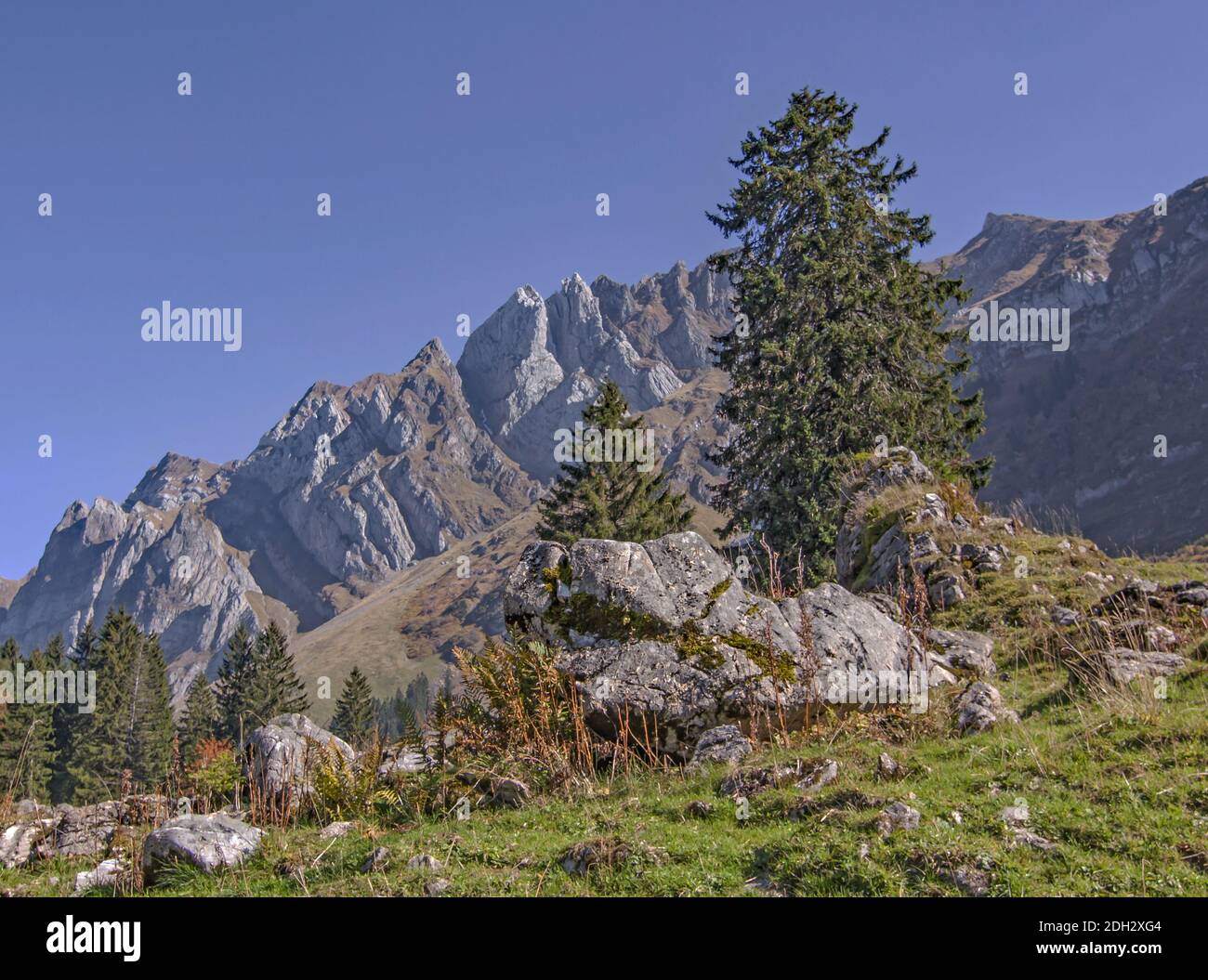 Massiccio montano a SÃ¤ntis, altezza del passo SchwÃ¤galp, Svizzera Foto Stock