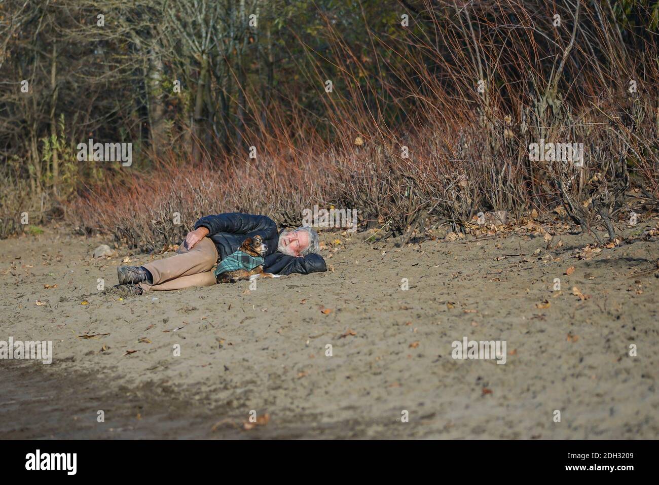 Un uomo senza casa e il suo cucino si confortaranno a vicenda Foto Stock